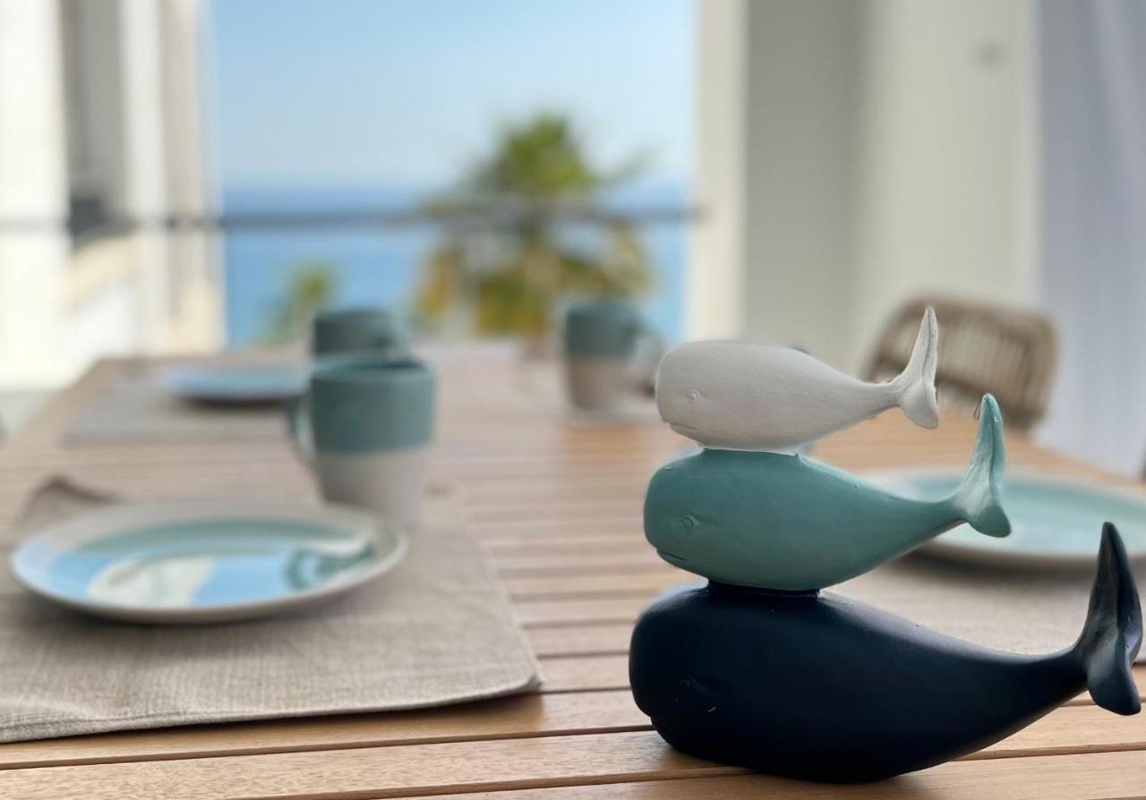 Palmbeach موخاكار المظهر الخارجي الصورة